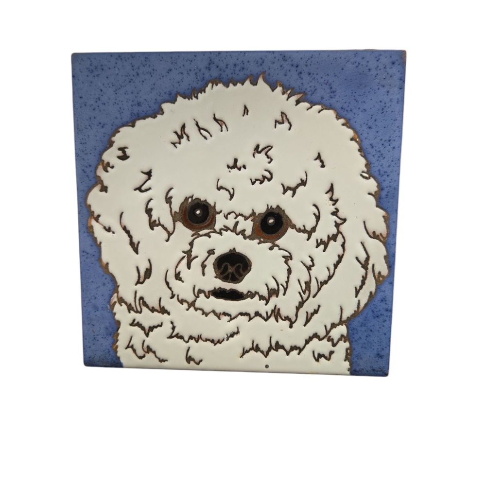 Wall Art Bichon Friese Dog - Hand Painted tile by Pumpkin Tile - 6 x 6" - D19